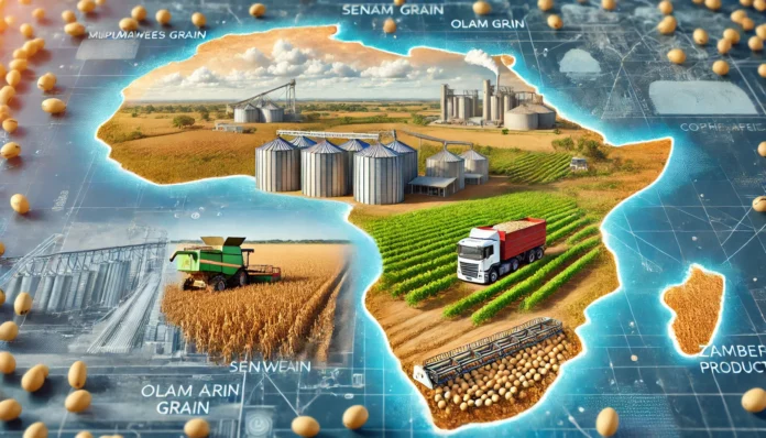 A depiction of soybean production in Africa with fields, harvesting equipment, and a map overlay highlighting Mpumalanga and the Copperbelt regions.