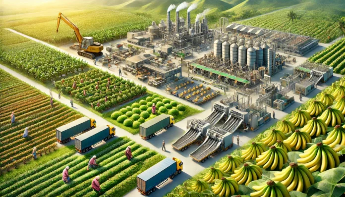 A realistic depiction of the banana value chain in India, showing workers harvesting bananas, modern sorting and packing facilities, trucks transporting produce, and supermarkets displaying bananas.