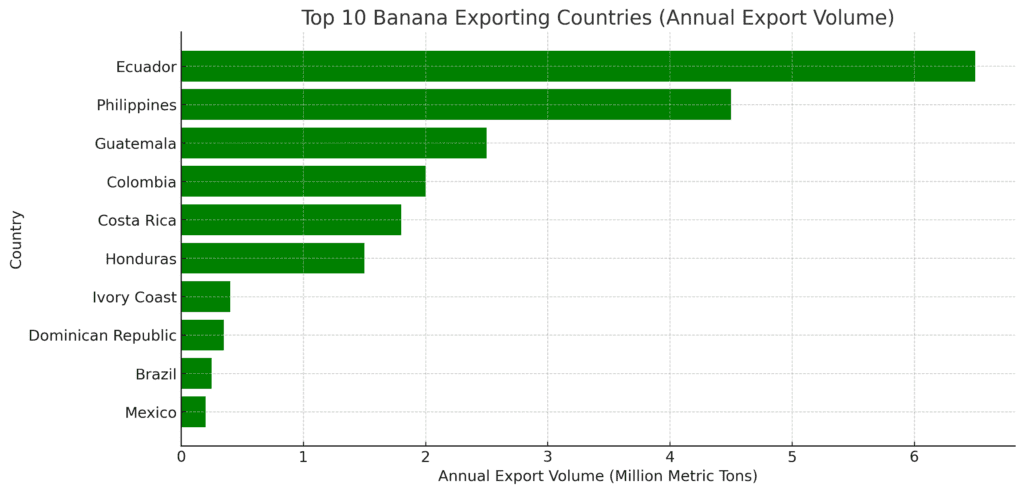 A horizontal bar chart displaying the top 10 banana-exporting countries by annual export volume in million metric tons. Ecuador leads with over 6.5 million metric tons, followed by the Philippines, Guatemala, and Colombia.