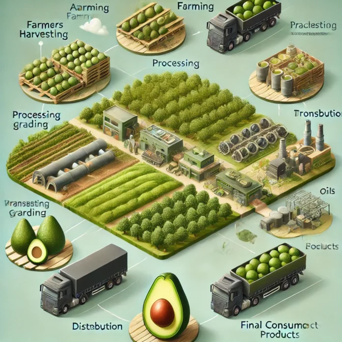 A realistic infographic depicting the avocado value chain from farm to consumer, showcasing farming, processing, transportation, distribution, and final consumer products like avocado-based foods, oils, and cosmetics.