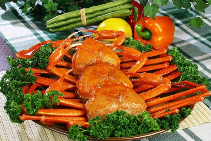 Global Seafood Industry Sustainability Report