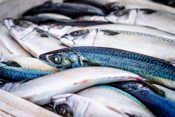 Global Seafood Packaging Trends & Innovations