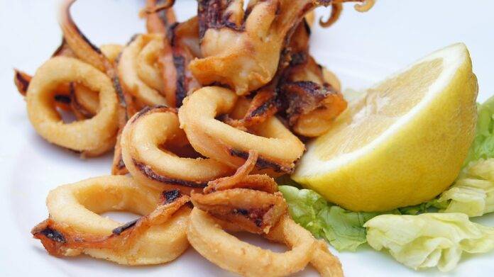 Global Squid Brands Report 2025: Market Trends & Forecasts