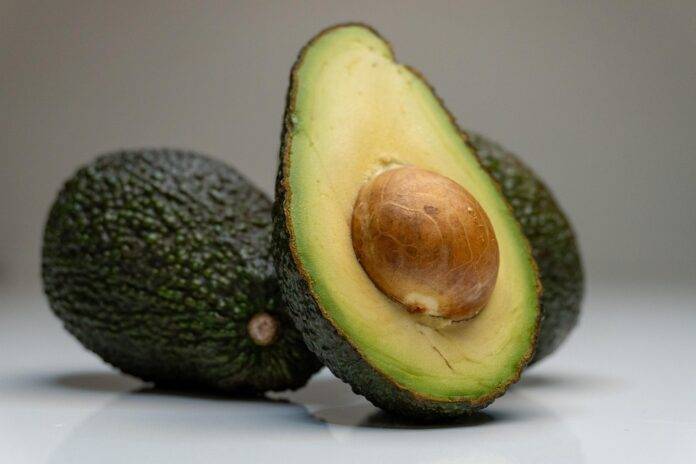 Growth & Forecast (2025-2030)
The Future of Avocado Farming: Sustainability