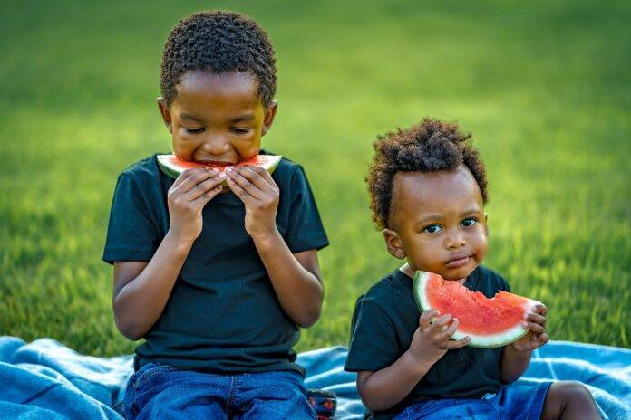 How Sustainability Trends Are Reshaping Watermelon Production Worldwide