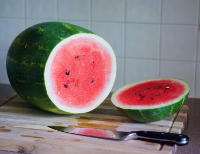 How Sustainability Trends Are Reshaping the Watermelon Industry