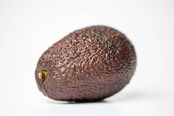 The Economic Impact of Avocado Farming on Global Agriculture
