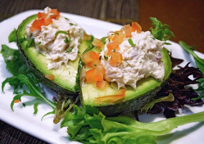 The Future of Avocado Farming: Sustainability