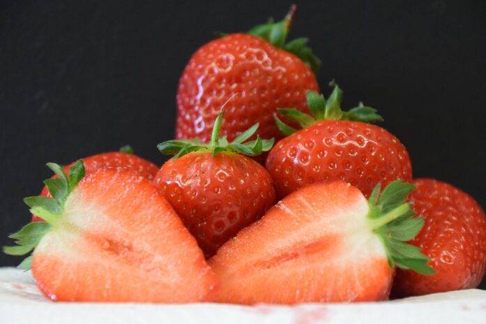 The Future of Organic Strawberry Farming: Market Growth & Challenges