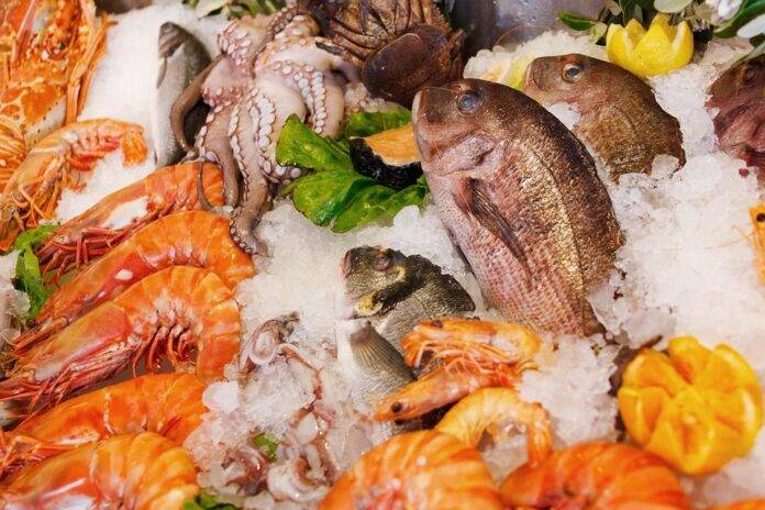The Future of Seafood Farming: Opportunities & Challenges