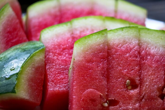 The Future of Watermelon Farming: Sustainability