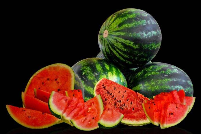 Top 10 AI & Automation Solutions for Watermelon Production & Distribution
