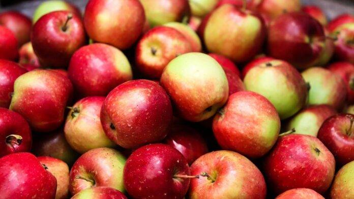 Top 10 Apple Juice Manufacturers in the World