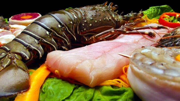 Top 10 Biggest Seafood Industry Investments in 2025