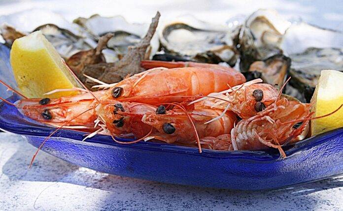 Top 10 Blockchain Solutions for Seafood Traceability in Global Trade