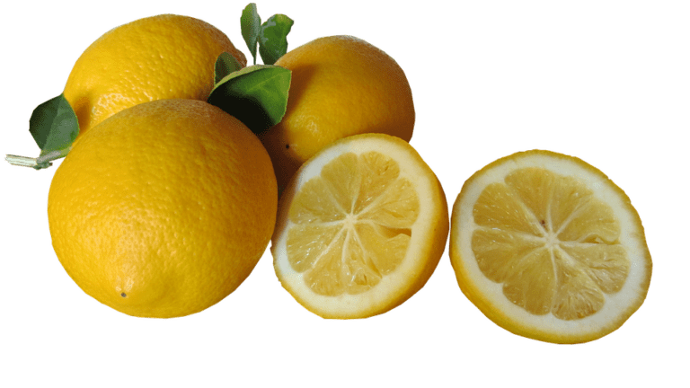 Global Lemon Industry Report 2025: Market Trends & Forecasts Global Lemon Industry Report 2025: Market Trends & Forecasts