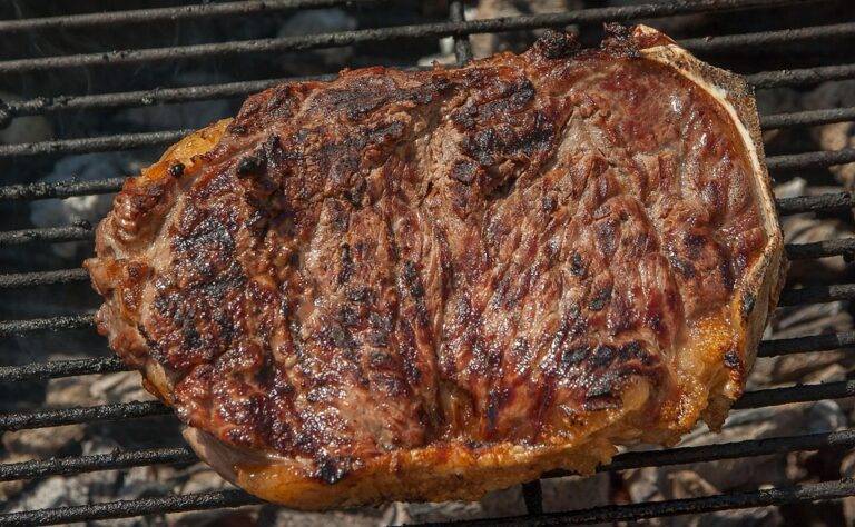 Top 10 Meat Brands Dominating the Future of Plant-Based Alternatives Top 10 Meat Brands Dominating the Future of Plant-Based Alternatives