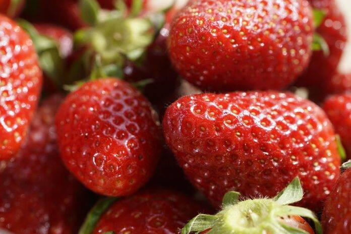 Top 10 Countries with the Best Strawberry Yields Per Hectare
