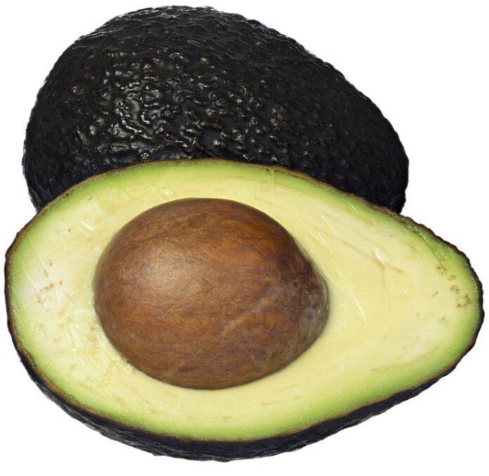 Top 10 Economic Impacts of Avocado Tariffs & Trade Policies