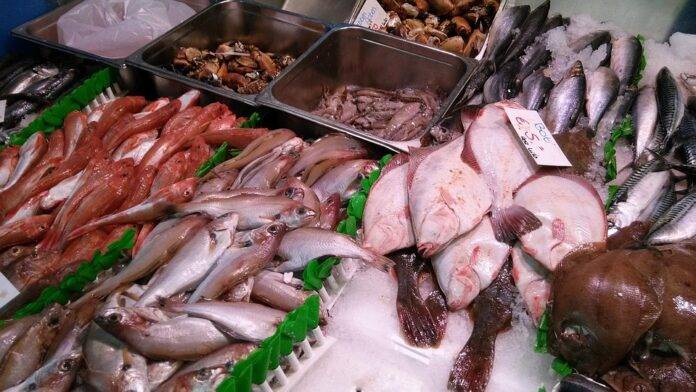 Top 10 Government Initiatives Supporting Sustainable Seafood