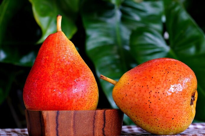 Top 10 Innovative Pear Waste Recycling Methods in the Industry