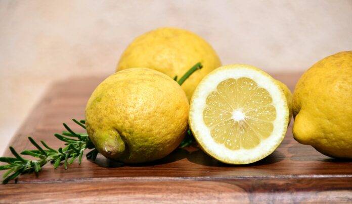 Top 10 Largest Lemon Cider Producers Worldwide