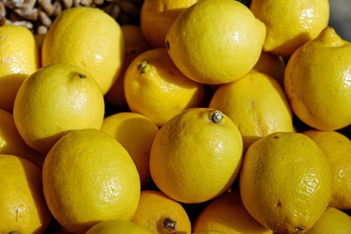 Top 10 Largest Lemon Shipping Companies in the World