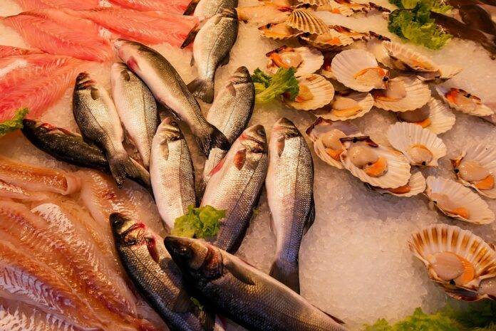 Top 10 Largest Seafood Exporting Countries