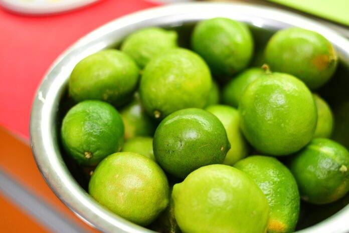 Top 10 Lemon Processing Companies in the World