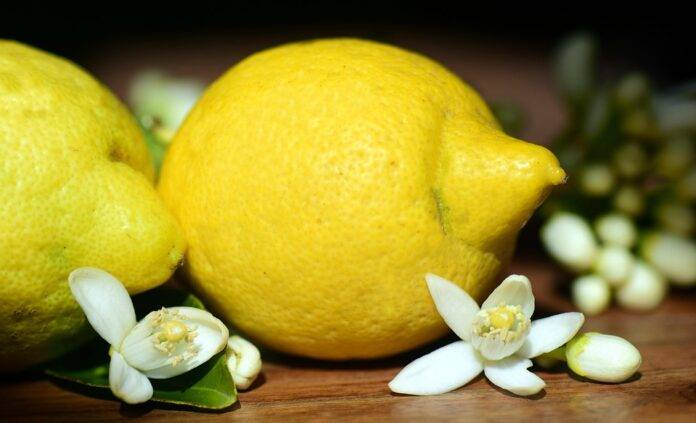 Top 10 Lemon Producing Countries in Europe