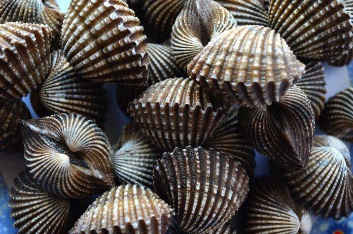 Top 10 Marketing Strategies for Seafood-Based Consumer Products