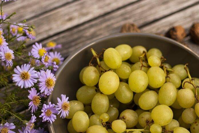 Top 10 Most Popular Grape-Based Drinks in the World
