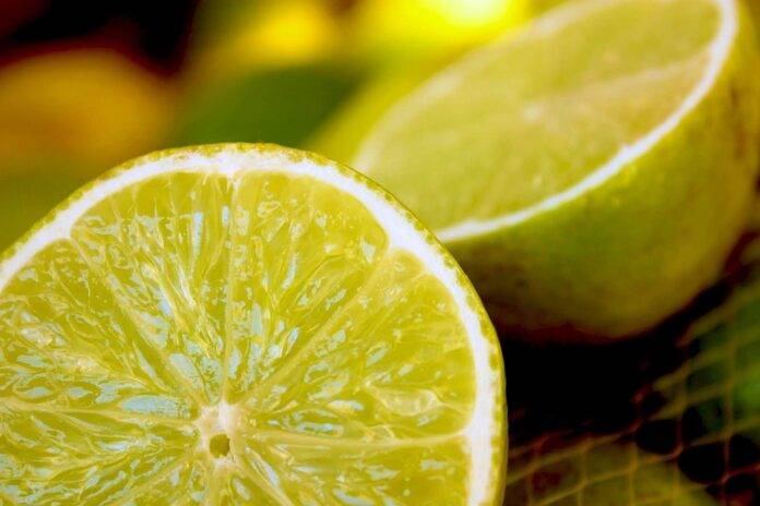 Top 10 Most Popular Lemon-Based Drinks in the World