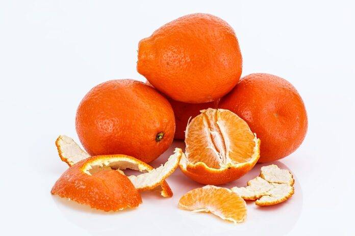 Top 10 Orange Processing Plants & Their Market Impact