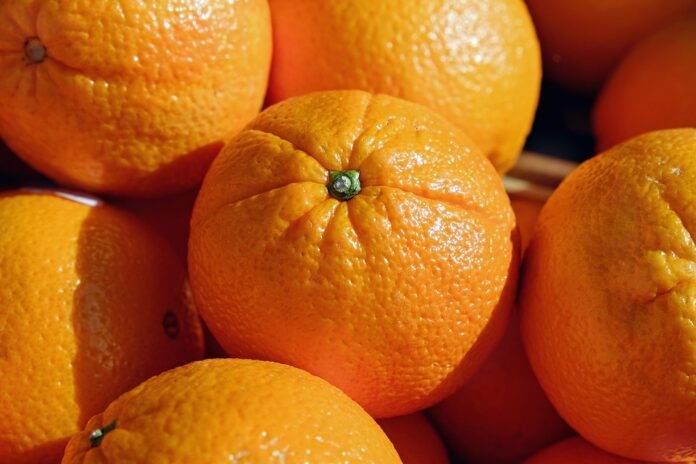 Top 10 Orange Producing Companies in North America