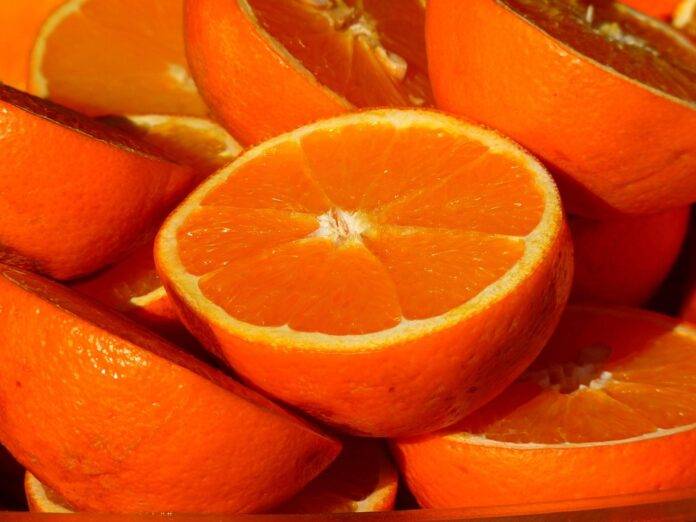 Top 10 Orange Producing Companies in South America