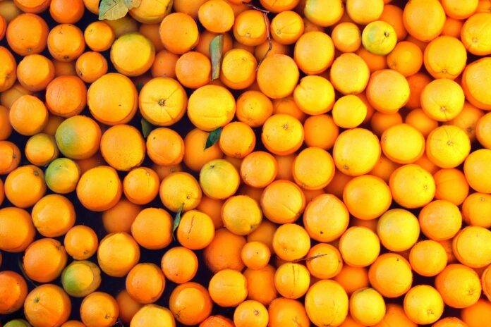 Top 10 Orange Trading Companies in the World