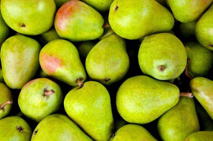 Top 10 Pear Producers & Leading Global Companies