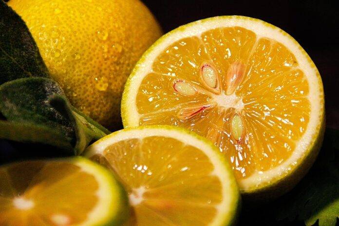 Top 10 Retail Chains with the Best Lemon Product Selection
