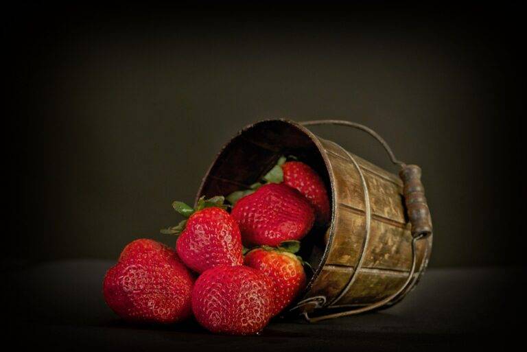 Top 10 Strawberry Price Fluctuations in Global Markets Top 10 Strawberry Price Fluctuations in Global Markets