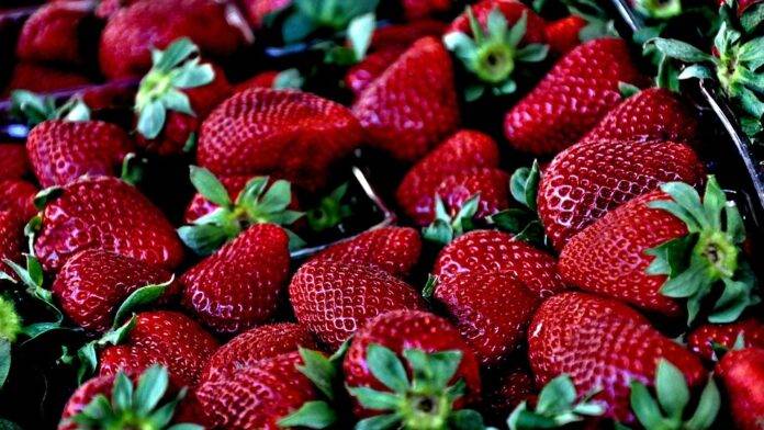 Top 10 Strawberry Producing Countries in Asia