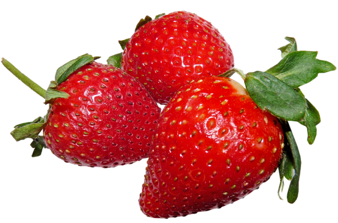 Top 10 Strawberry Producing Countries in South America