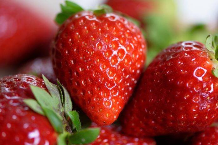 Top 10 Strawberry Producing Countries in the World