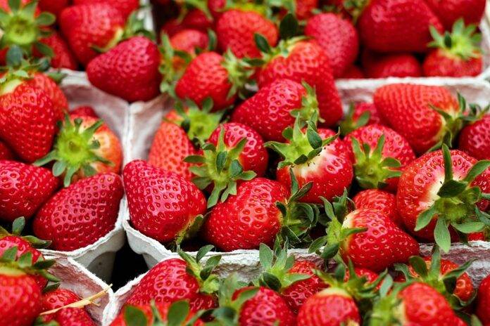 Top 10 Strawberry Producing Regions in Europe