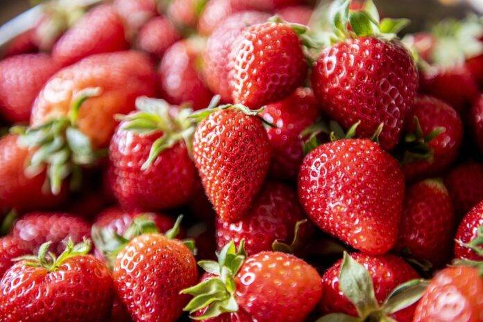 Top 10 Strawberry Snack Companies in the World
