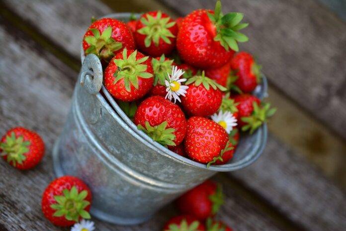 Top 10 Strawberry-Sourcing Companies for Supermarkets