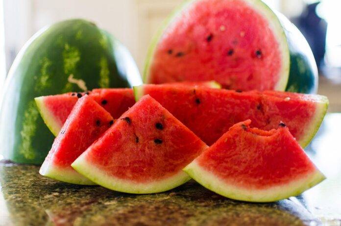 Top 10 Watermelon Farming Equipment Manufacturers & Suppliers