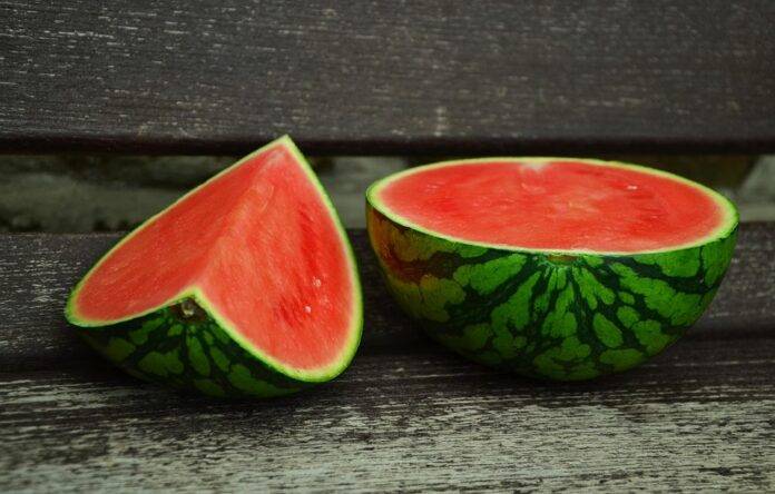 Top 10 Watermelon Importing Companies & Their Trade Networks