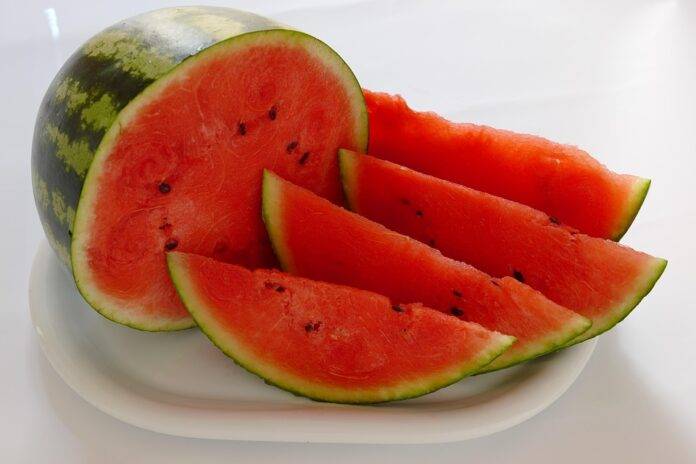 Top 10 Watermelon Investment Hubs & Industry Growth Drivers