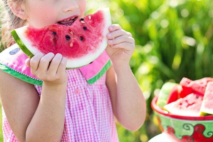 Top 10 Watermelon Processing Companies & Their Global Impact